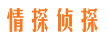 肃宁侦探公司